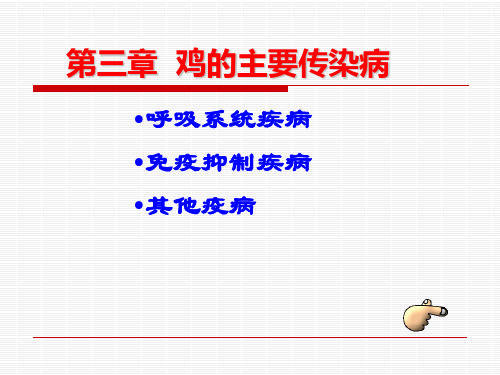 鸡病4包涵体、脑脊髓炎