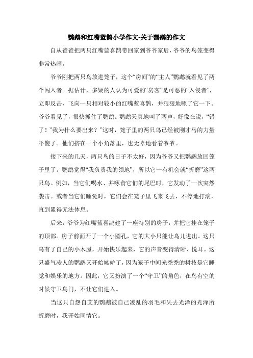 鹦鹉和红嘴蓝鹊小学作文-关于鹦鹉的作文.doc