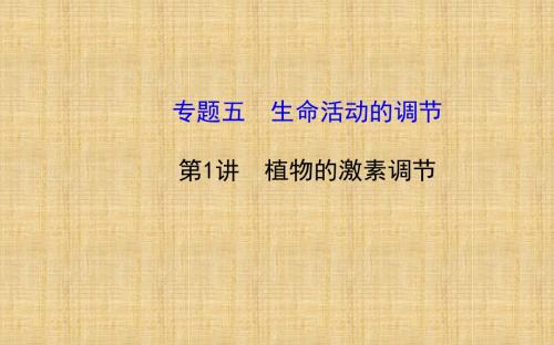 高考生物二轮复习专题五生命活动的调节课件
