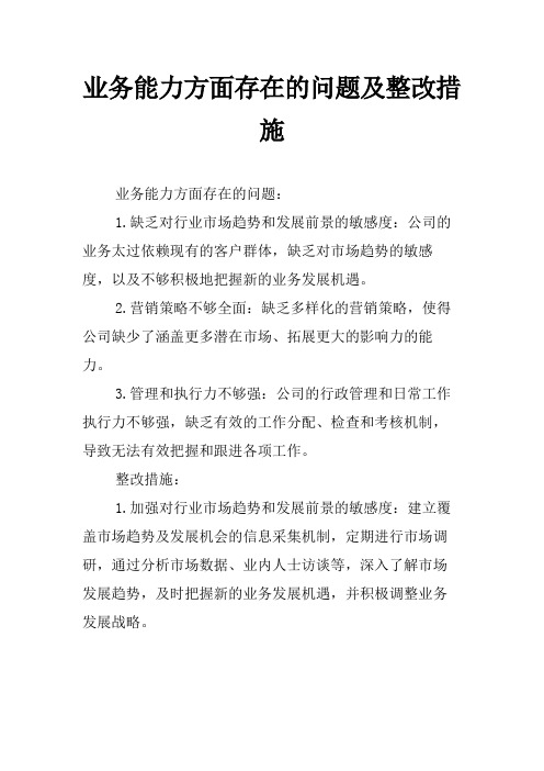 业务能力方面存在的问题及整改措施