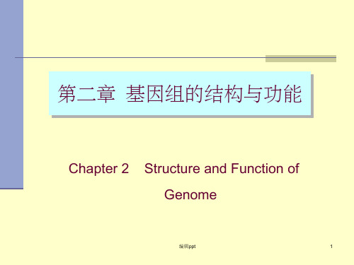 基因组的结构和功能