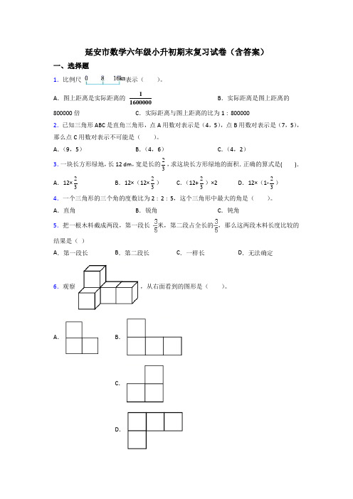 延安市数学六年级小升初期末复习试卷(含答案)