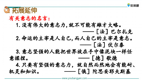 2020年优质精选小学课件  1-3年级课件精选  11 军神_56-59