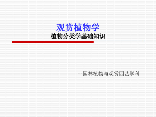 植物分类学基础