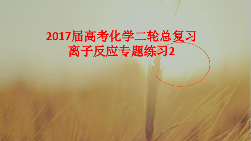 最新-整合化学优选资源2021届高考化学二轮总复习离子反应专题练习课件2 共35张  精品