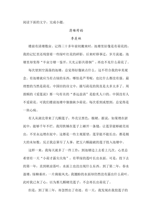 《清塘荷韵》阅读练习及答案