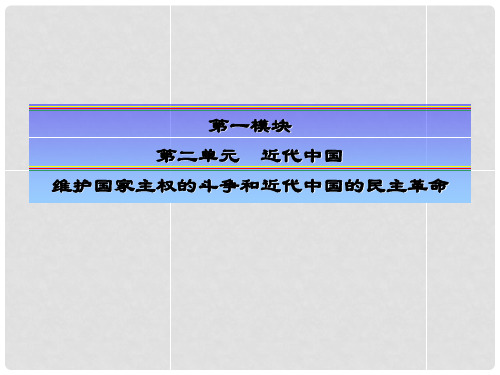 高考历史大一轮总复习 第3讲 列强入侵与民族危机及中