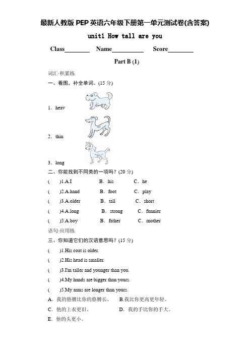 最新人教版PEP英语六年级下册第一单元测试卷(含答案)