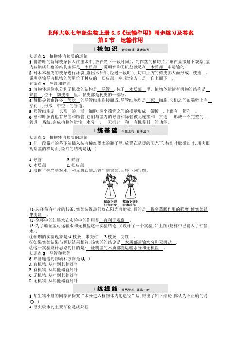 北师大版七年级生物上册5-5《运输作用》同步练习及答案