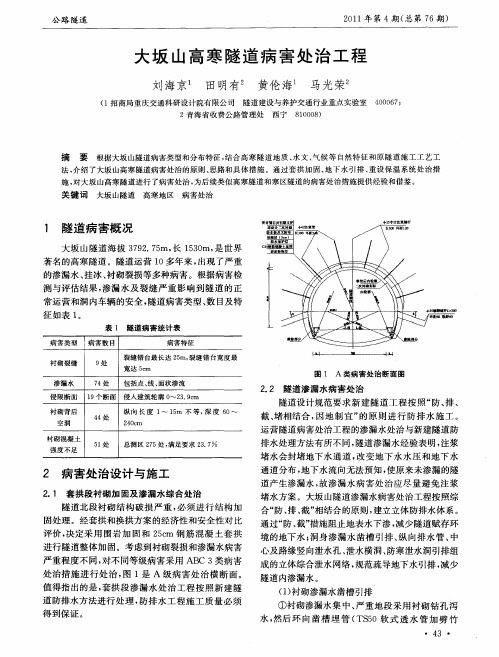 大坂山高寒隧道病害处治工程