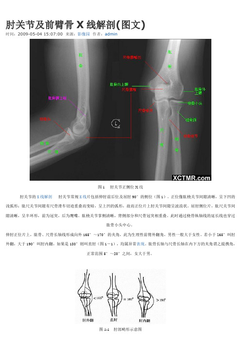 骨科X线解剖(四肢、关节)讲解