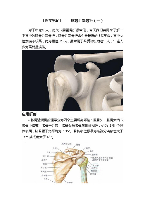 「医学笔记」——肱骨近端骨折（一）