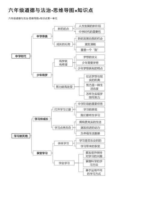 六年级道德与法治-思维导图+知识点