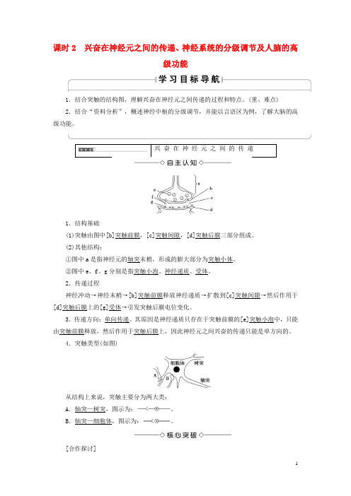 2018版高中生物第二章第1节课时2兴奋在神经元之间的传递、神经系统的分级调节及人脑的高级功能学案