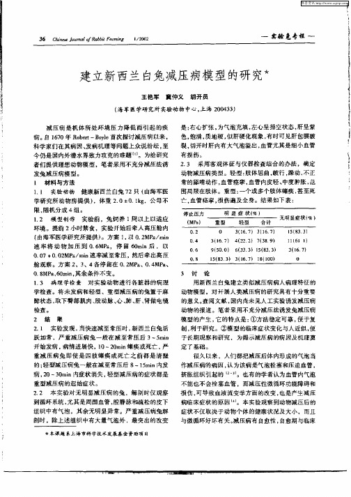 建立新西兰白兔减压病模型的研究