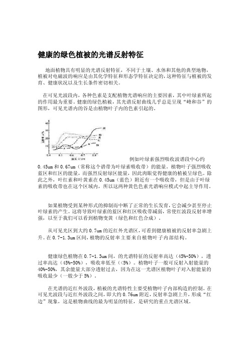 植物反射波谱特点[精华]