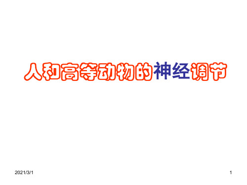 人教版教学课件新课标人教版神经调节复习PPT精品课件