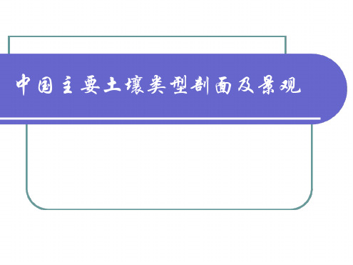 中国主要土壤类型剖面及景观