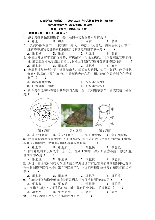 湖南永州市祁阳市浯溪二中2024-2025学年苏教版七年级生物上册第一单元第一章测试卷(含答案)