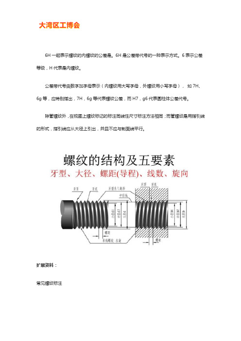 螺纹塞规6h是什么意思