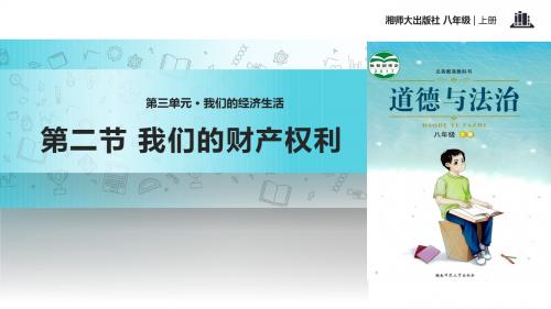 3.2《我们的财产权利》教学课件