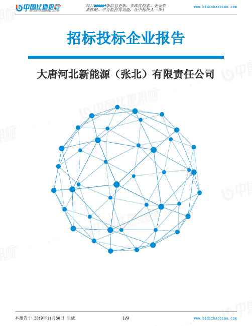 大唐河北新能源(张北)有限责任公司-招投标数据分析报告