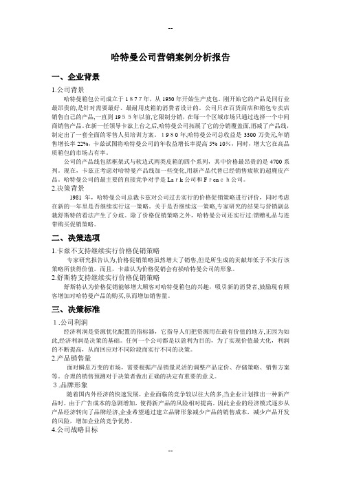 营销案例分析报告