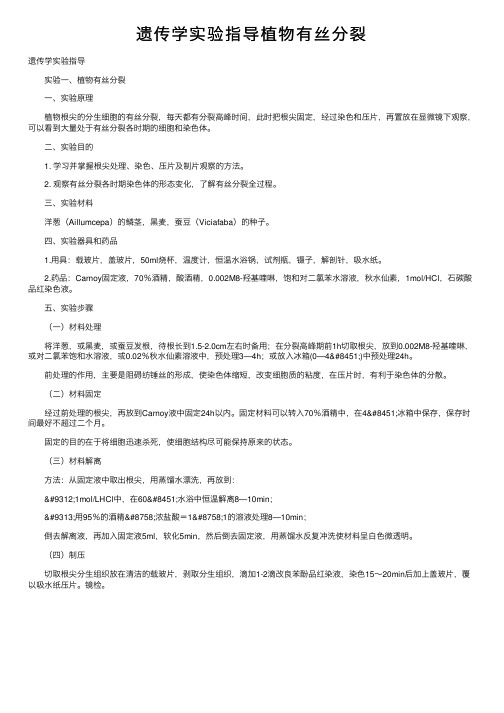 遗传学实验指导植物有丝分裂