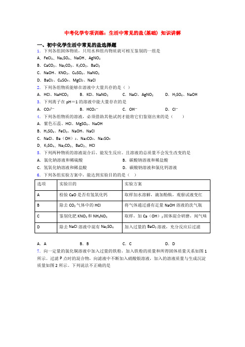 中考化学专项训练：生活中常见的盐(基础) 知识讲解