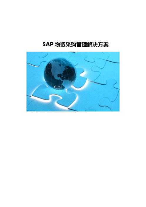 SAP物资采购管理解决方案