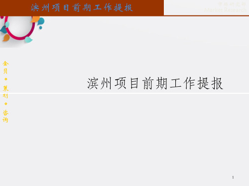 山东滨州房地产项目前期市场研究定位提报