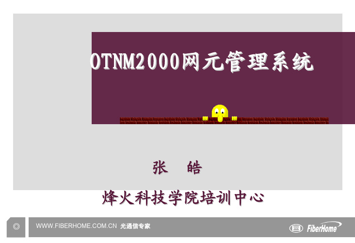 4.otnm2000