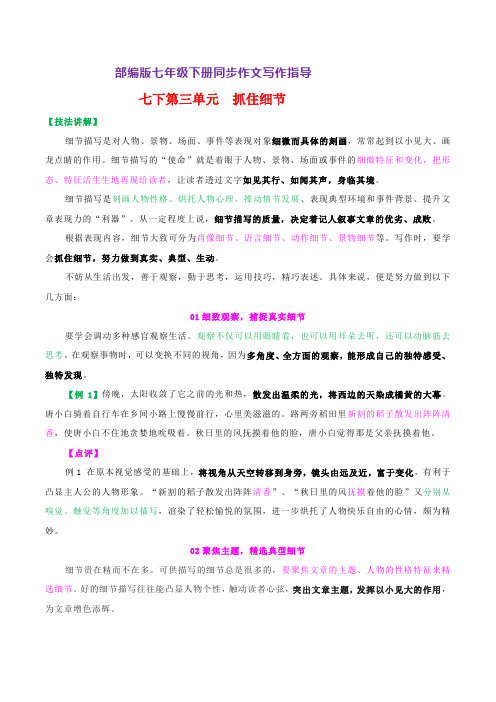 第三单元 抓住细节-七年级下册语文写作指导与范文赏析(部编版)