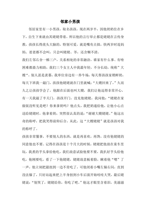 邻家小男孩