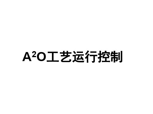 AAO工艺运行与控制技术介绍