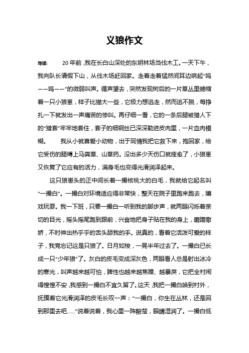 义狼作文