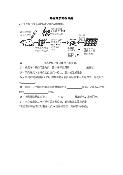 单克隆抗体练习题