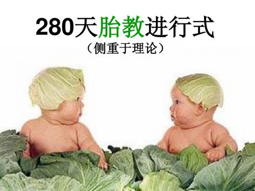 280天胎教进行式(理论)