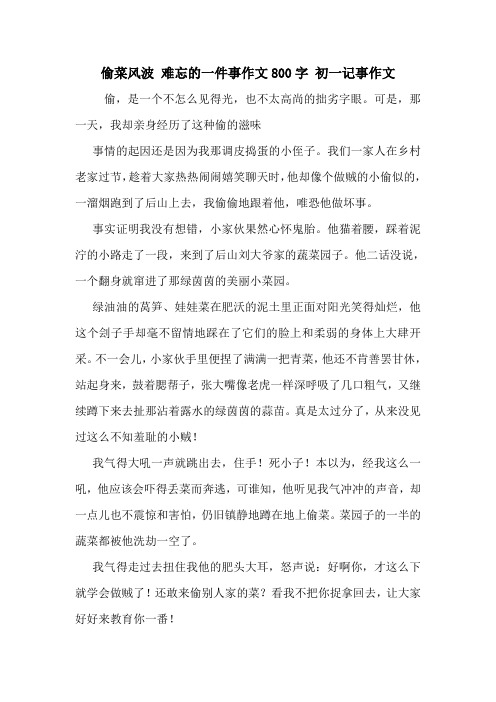 偷菜风波 难忘的一件事作文800字 初一记事作文