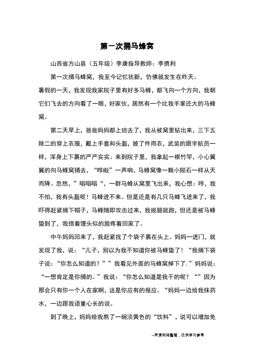 第一次捅马蜂窝_优秀作文