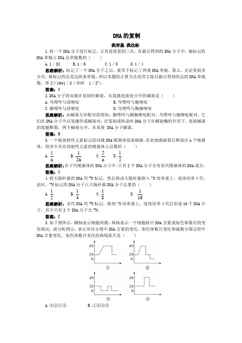高中生物第三单元第一章第三节DNA的复制自主训练(含解析)中图版必修2