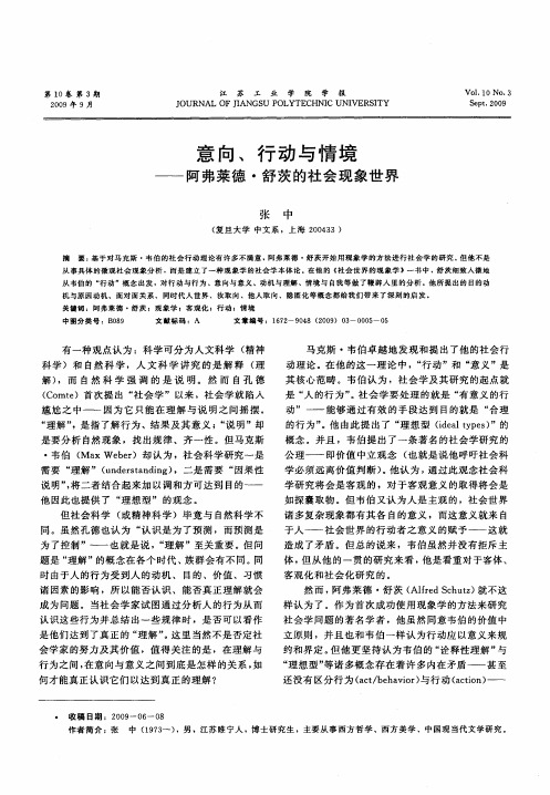 意向、行动与情境——阿弗菜德·舒茨的社会现象世界