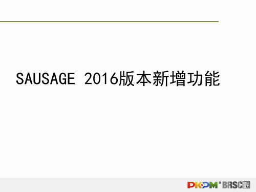 6 SAUSAGE2016版本及SAUSAGE-CHK简介