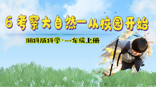 (2024)新版湘科版科学一年级上册(6) 考察大自然-从校园开始-PPT课件