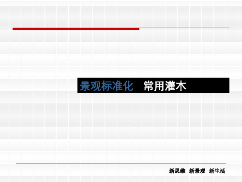 园林绿化常用灌木(图文并茂)