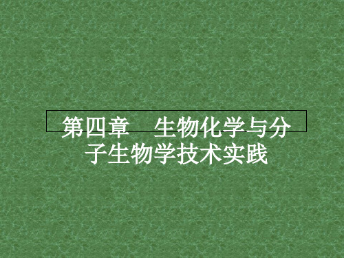 高中生物 4.1 生物成分的分离与测定技术课件 苏教版选修1