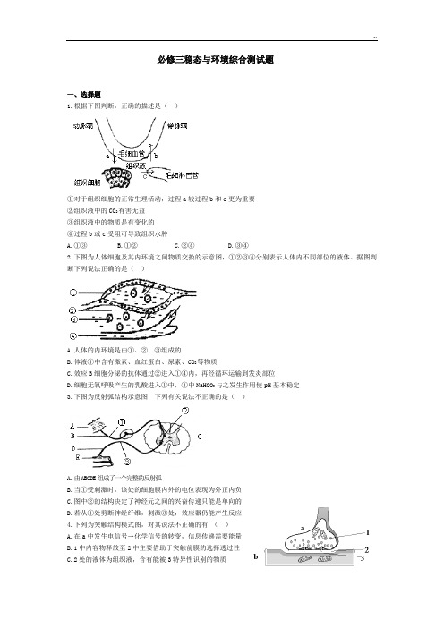 高级中学生物稳态与环境检验测试题