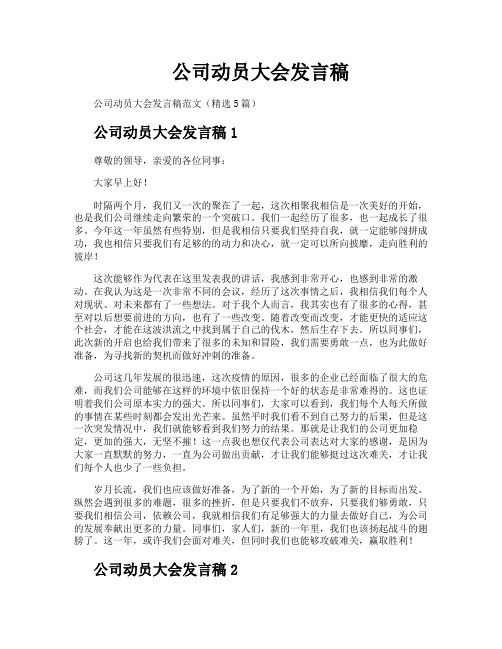 公司动员大会发言稿