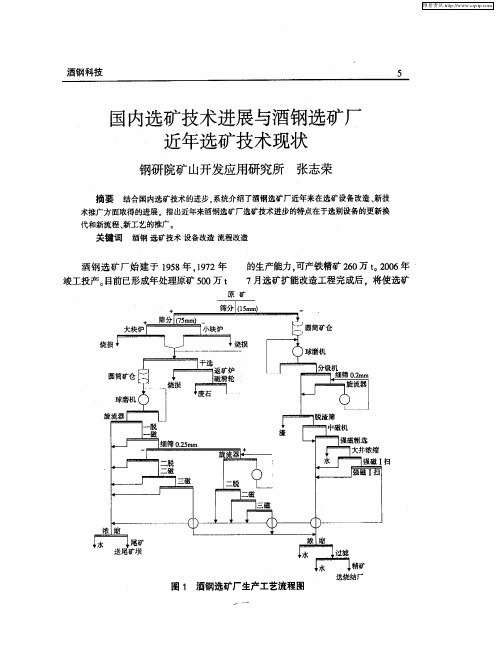 国内选矿技术进展与酒钢选矿厂近年选矿技术现状