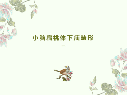 小脑扁桃体下疝影像诊断